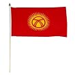 Kyrgyzstan Flag 12 x 18 inch