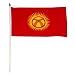 Kyrgyzstan Flag 12 x 18 inch