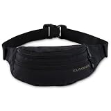 Dakine Classic Hip Pack