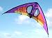 My Fly Sports Kite in violet