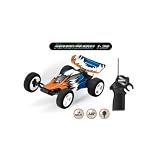 RAYAN BUGGY VOITURE TELECOMMANDEE ACCROBATIQUE (29 KMH)