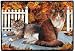 Pet Mat - 18.0 x 27.0 - Autumn Leaves.