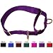 Adjustable Nylon Martingale Dog Collar Neck size: 14
