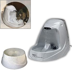 Drinkwell Platinum Pet Fountain & Food bowl