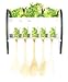 FROG 3-D Large Wall Plaque & Utensils Set NEW