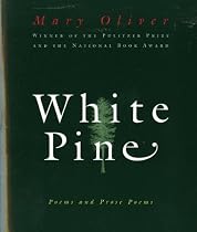 White Pine