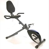 Stamina Intone Folding Cycle Pro