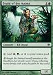 Magic the Gathering Shards of Alara - Druid of the Anima Common Card 128/249