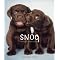 [The Best Stuff for Dog Lovers]