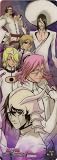 BLEACH THE CARD GUM (�֥꡼�� ���������ɥ���) ��7�� ����Ĺ���롪�� ��No.6 ����2��(����)