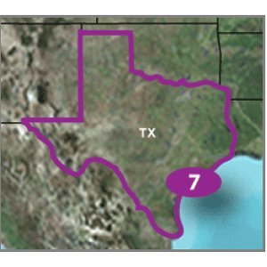 Garmin TOPO US 24K Texas Map (microSD/SD Card)