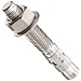 Type 316 Stainless Steel Ultrawedge Anchor 3/4-10" Diameter x 4 3/4" Length (Pack of 10)