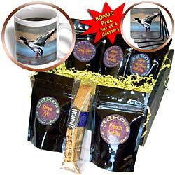 Birds - Mallard Duck - Coffee Gift Baskets - Coffee Gift Basket by 3dRose LLC