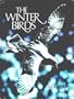 Winter Birds