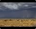 Mouse Mats of Lightning striking the high plains, New Mexico from North Wind Picture Archives