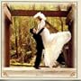The Country Wedding Album