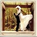 Country Wedding Album