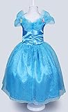 2015 NEW Cinderella dress blue Ella 's princess dress Costume butterfly girl