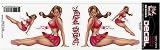 MISS BEHAVING 3X10 - Lethal Threat Decals -