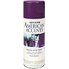 Rust-Oleum 7939830 American Accents Spray, Satin Grape, 12-Ounce