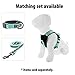 Pawtitas 6 FT Padded Dog Leash with Comfortable Neoprene Padding Handle - Teal Lead | Reflective Dog Leash with Highly Reflective Band Perfect for Extra Small and Small Dogs and Puppies
