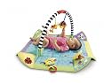 Fisher Price - Fold N Go Gym