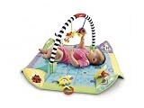Fisher-Price Miracles & Milestones Pop Open Play Gym