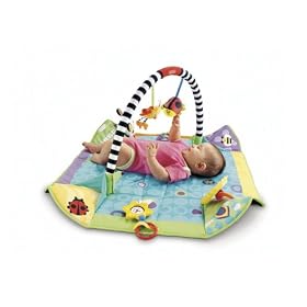 Fisher-Price Miracles & Milestones Pop Open Play Gym