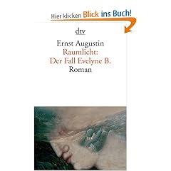 Raumlicht: Der Fall Evelyne B.: Roman