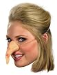 Fun and Funky Witch Costume Nose