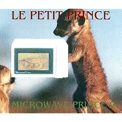 Microwave Prince II