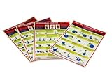 New Progressive Level Fitness Guide Exercise/ Gym Balls Chart/posters Set Of 4