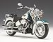 PLEASE READ DESRCIPTION!!! 2009 Harley-Davidson FLSTN Softail Deluxe Deep Turquoise / Antique White