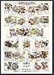 Art Poster Metal Framed Print - Frogs and Toads-International Ed. - Artist: Hobby Posters- Poster Size: 38 X 26