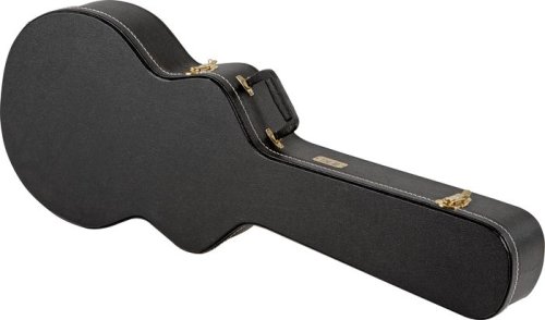 Childrens Toyshop  Musical Instruments : Takamine GC1164 Hardshell Case for Artist/FXC Guitars