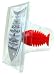 NUOP Fishbone Magnet