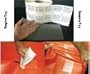 RV Camper Awning Canvas Cloth Tent Hole Repair Patch - Tear Aid 6" x 12" Patch A