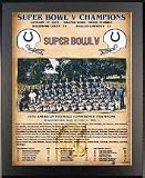 1970 Baltimore Colts Super Bowl V Champions 11