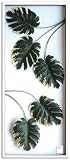 F-style ���[�t�p�l���E570x1375x30mm�@Monstera deliciosa