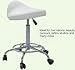 Saddle Salon Massage Tattoo Facial Spa Stool Chair White