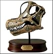 Brachiosaurus Skull Model
