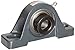 Browning VPE-124 Pillow Block Ball Bearing, 2 Bolt, Eccentric Lock, Contact and Flinger Seal, Cast Iron, Inch, 1-1/2" Bore, 2" Base To Center Height