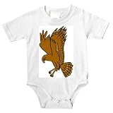 Baby clothes with landing, hawk, brown, bird, predator