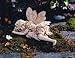 Sleeping Fairy Garden Statue Sculpture Yard Dcor