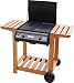 2 Burner Outback Style Flat Top Gas Barbecue Image