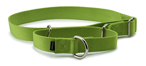 PetSafe Medium Martingale Collar, 3/4