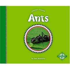 Ants (Natures Friends)