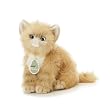 Aurora Plush 12" Pumpkin, Aurora Babies Honey Color Persian Kitten