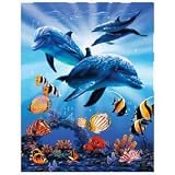 Sporting Goods : Offshore Dolphins Tropical Reef Oversized Beach Towel - 54