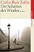 Der Schatten des Windes: Roman. Großdruck (suhrkamp taschenbuch)